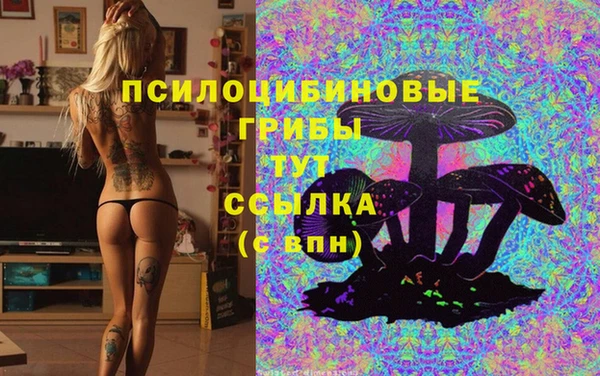 ECSTASY Армянск